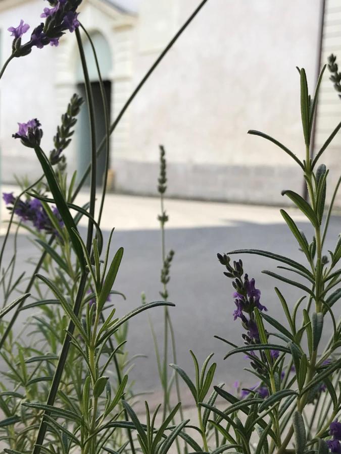 Fontevraud Maison De Ville Bnb Esterno foto